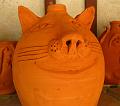 pignatte cotte IMG_4191cat